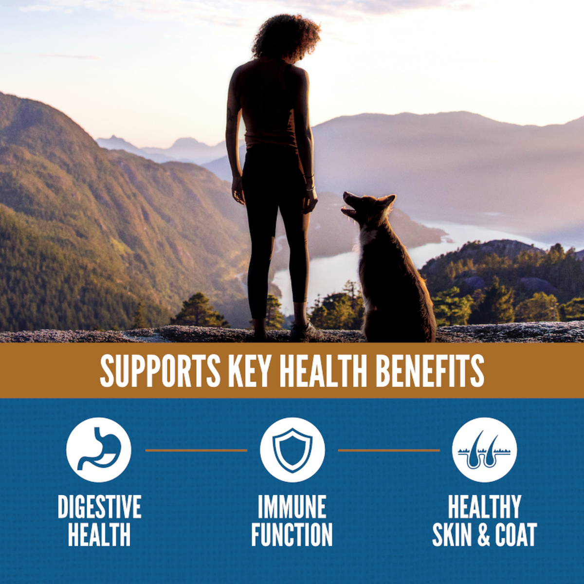 null - Product thumbnail 5.0